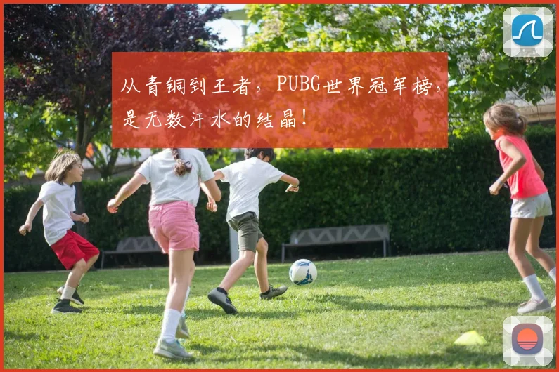 从青铜到王者，PUBG世界冠军榜，是无数汗水的结晶！