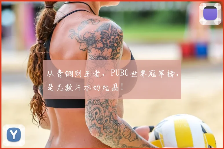 从青铜到王者，PUBG世界冠军榜，是无数汗水的结晶！